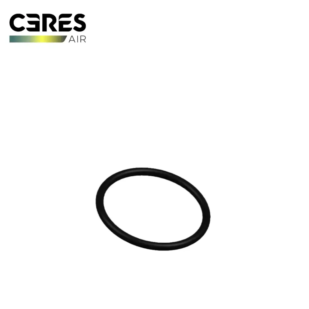 [201-001348] Ceres Sealing Ring Outer Diameter 53*3.1