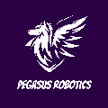 Pegasus Robotics